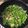 廚房就是我的實驗室_Justitia漾 的 甜豌豆蝦仁 cooksnap
