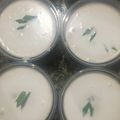 Cooksnap dari Yuna Sri Wahyuni untuk resep BUBUR KETAN HITAM kuah santan
