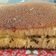 Cooksnap dari Yovita untuk resep Martabak manis terang bulan teflon