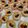 Cooksnap dari anitasia hulu untuk resep Pie Buah