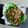 Vaishali Vora's cooksnap of when they made એક્ઝોટિક સ્ટર ફ્રાય શીંગોડા સલાડ (Exotic Stir Fry Water Chestnut Salad Recipe In Gujarati).