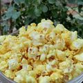 Beena Radia's cooksnap of when they made મસાલા પોપકોર્ન (Masala Popcorn Recipe In Gujarati).