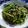 Cooksnap dari Marfuah Sugiono untuk resep Tumis Kangkung Saus Tiram
