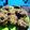 Cooksnap dari Vina Septiana untuk resep Easy Oatmeal Raisin Cookies