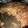 El cooksnap de Daniel Cuevas cuando hizo Quipes al horno relleno de cebolla y queso fresco.