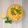 Sonal Modha's cooksnap of when they made ફરાળી સામા ની ખીચડી(sama ni khichadi recipe in gujarati).