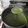 El cooksnap de Daniela Figueroa Alvarez cuando hizo Crema de Espinacas.