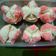 Cooksnap dari Halimatussa'diah Hasan untuk resep Bolu Kukus Mekar Neapolitan Anti Gagal by Fitsas