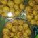 Cooksnap dari rezkyyy untuk resep Nastar dan Castengel