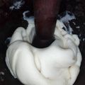 Umman Amir And Minaal 🎂🍜🍝's cooksnap of when they made Pounded yam.