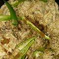 Fary Feroz's cooksnap of when they made White chicken karahi.