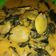 Cooksnap dari Reza Dewi untuk resep Gulai Jengkol Pucuk Ubi Plus Ikan Tri