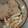 Cooksnap dari Cindy L. untuk resep Tonkatsu, Katsunya versi Korea. Makanan favoritnya orang korea nomer 2. Lengkap dengan sausnya