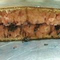 Cooksnap dari Rieshella Ramadhani untuk resep martabak manis kilat (15 menit)