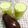 May 的 酪梨牛奶 cooksnap