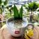 Cooksnap dari yuyun8666 untuk resep Bubur Kacang Hijau (metode 5.30.7)