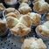 Cooksnap dari Cici untuk resep Bolu kukus mekar no bp no sp.. anti gagal