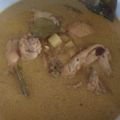 Cooksnap dari Haneng Lena untuk resep Opor Ayam & Tahu bumbu kuning