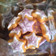 Cooksnap dari Tu2twidhi untuk resep Royal Icing Cookies