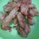 Cooksnap dari Widya Cahyati untuk resep Ubi jalar goreng empuk kriuk
