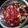 Veena Mehta's cooksnap of when they made મિક્સ ફ્રૂટ વેજીટેબલ સલાડ (Mix Fruit Vegetable Salad Recipe In Gujarati).