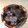 El cooksnap de Lourdes Perez cuando hizo Tarta de queso crema la viña.