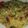 صورة من Allawe Kareem، شاركها بعد تجربة وصفة سلطة رز بسيطة ولذيذة (عملت هالوصفة لحبيبتي konditor)