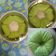 Cooksnap dari Asrie Ainie untuk resep 205. Steamed Wool Roll Bread. Versi Kukusnya Roti Viral