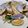 Viki自由揮灑kitchen 的 熱炒海瓜子 cooksnap