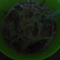 Cooksnap dari Cook Kalila untuk resep Es kepal milo