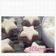 Cooksnap dari Ira Nurrahdiana Dewi untuk resep Putu Ayu Ubi Ungu