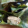 Cooksnap dari Ginsha Audia untuk resep Pepes tahu udang kemangi