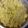 Mamoni Banerjee's cooksnap of when they made সজনে ফুলের চচ্চড়ি (sojne fuler chacchari recipe in Bengali).