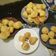 貪戀 的 忌廉泡芙 cooksnap
