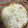 El cooksnap de Anattacks cuando hizo Pastel de carne con calabacín y masa quebrada.