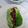 El cooksnap de Felipe Ignacio Cares Balboa cuando hizo Fajitas de ternera.