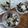 Cooksnap dari Sri Idayati untuk resep Cheesecake Lumer Oreo Cup (Simple)