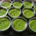 Cooksnap dari Nita Ummu Dzaky untuk resep Puding Lumut Hijau 🌿