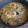 El cooksnap de Andrea Elizabeth Fernández cuando hizo Esponjoso de verduras.