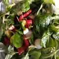 El cooksnap de Maribel cuando hizo Ensalada de canónigos y queso fresco.