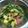 Cooksnap dari Fitriia untuk resep Sayur sawi + tahu