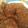 El cooksnap de stelladelmare7 cuando hizo Milanesas de zapallito y Berenjenas con ensaladas varias.