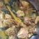 Cooksnap dari Fauziah Fitriani untuk resep Rica Rica Ayam Berkuah