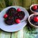 Cooksnap dari Windriayu untuk resep Brownise Kukus Oat