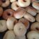 Cooksnap dari eka panel untuk resep Donat Tehnik Autolisis