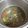 Cooksnap dari Mellyda Herliani untuk resep Sop Iga Sapi Pedas (Sop Janda)