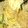 Zobia Sajjad's cooksnap of when they made Taliya.