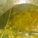 Cooksnap dari Saraswati untuk resep Sapi bumbu kuning
