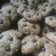 Cooksnap dari Fitriani Ayu Lestari untuk resep Goodtime chocochip kacang tanah simple