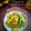 Cooksnap Norashikin Rahmat semasa beliau membuat Daging Salai Masak Lemak Cili Api.